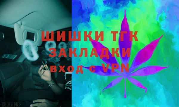 индика Вязники