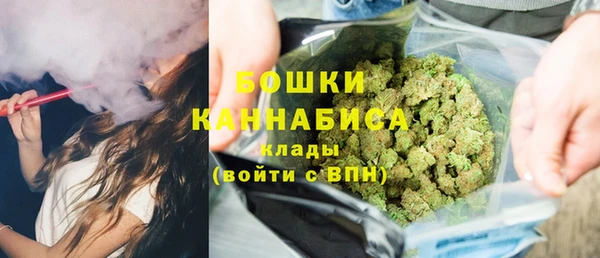 индика Вязники